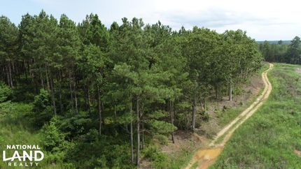 Property in Warren County, North Carolina