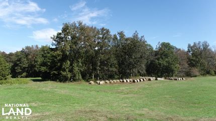 Property in Warren County, North Carolina