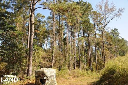 Property in Columbus County, North Carolina