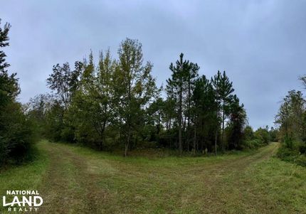 Property in Cook County, Georgia