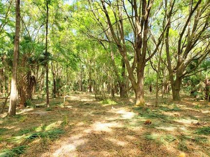 Property in Marion County, Florida
