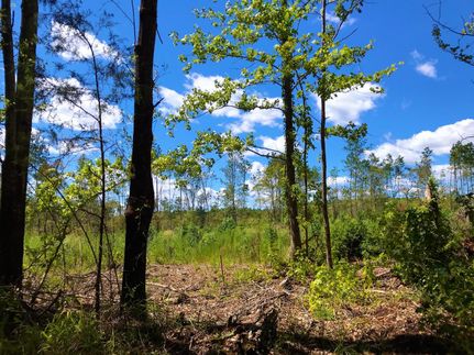 Property in Cherokee County, Texas