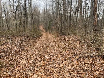 Property in Greene County, Indiana