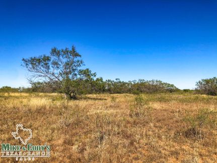 Property in Atascosa County, Texas