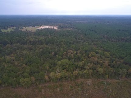 Property in Houston County, Texas