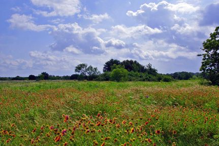 Property in Williamson County, Texas