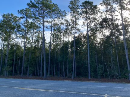 Property for sale in Glynn County, Georgia