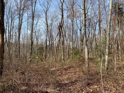 Property in Grundy County, Tennessee