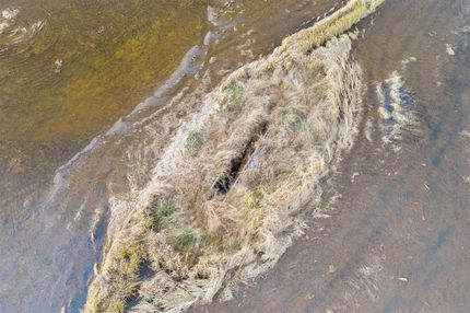 Property in Poinsett County, Arkansas