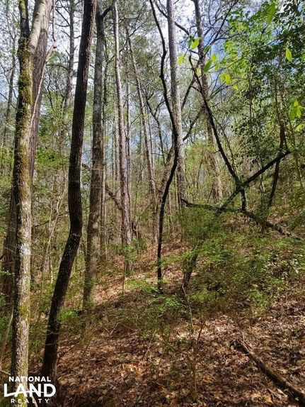Property in Perry County, Alabama