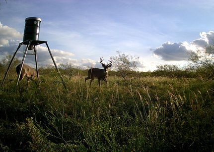 Property in Milam County, Texas