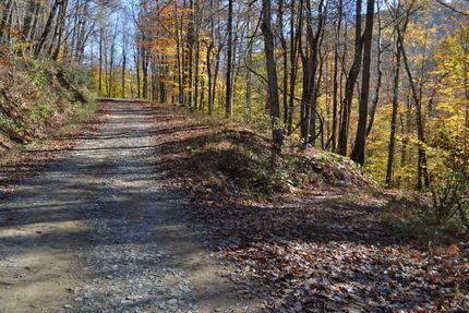 Property in Webster County, West Virginia