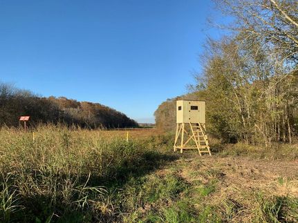 Property in Ouachita Parish, Louisiana