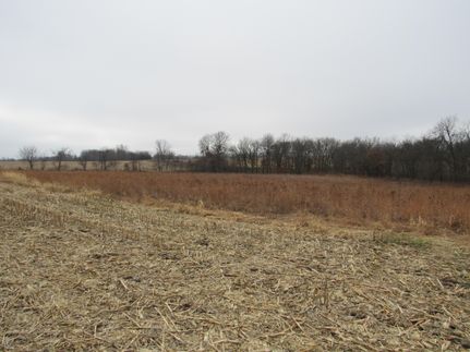 Property in Appanoose County, Iowa