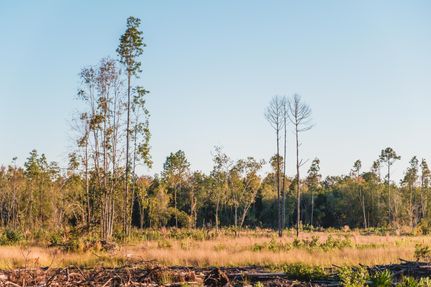 Property in Bulloch County, Georgia