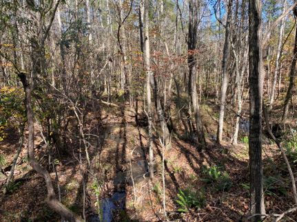 Property in Lee County, Alabama