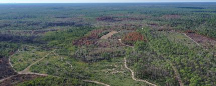 Property in Bay County, Florida