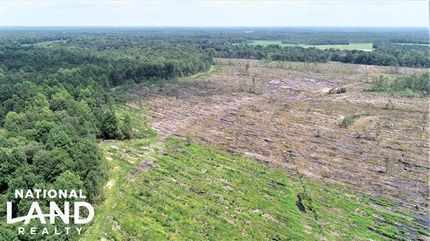 Property in Jones County, North Carolina