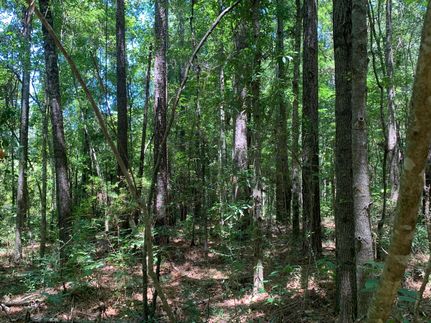 Property in Saint Helena Parish, Louisiana