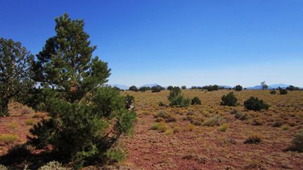 Property in Coconino County, Arizona