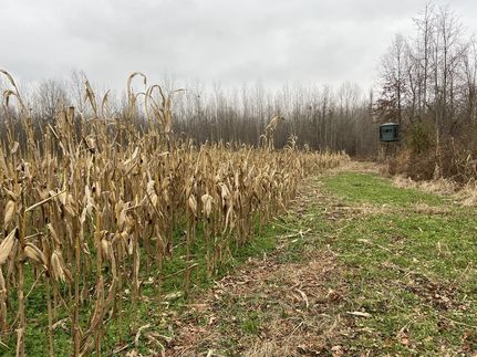 Property in Pulaski County, Illinois