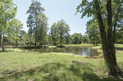 Property in Livingston Parish, Louisiana