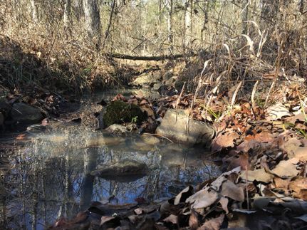 Property in Pope County, Arkansas