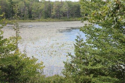 Property in Presque Isle County, Michigan