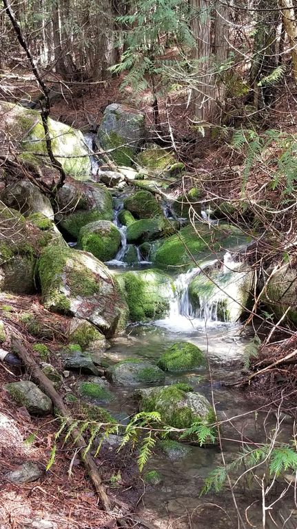 Property in Boundary County, Idaho
