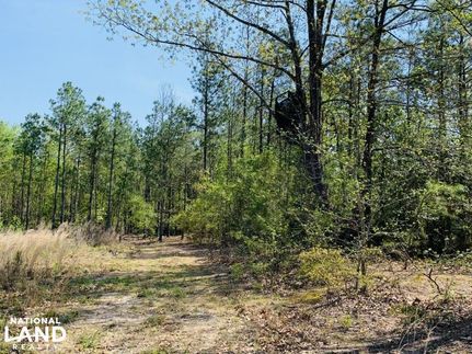 Property in Darlington County, South Carolina