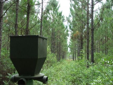 Property in Screven County, Georgia