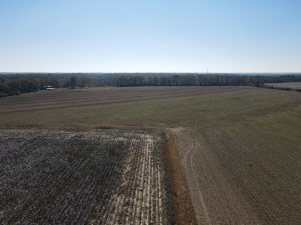 Property in Dale County, Alabama