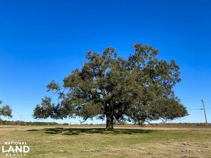Property in Houston County, Alabama