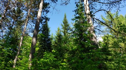 Property in Oneida County, Wisconsin