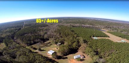 Property in Covington County, Alabama