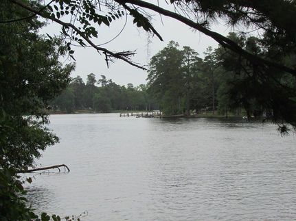 Property in Clarendon County, South Carolina
