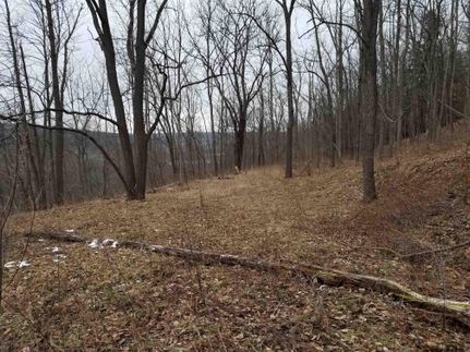 Property in Tompkins County, New York