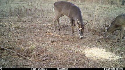 Property in Smith County, Mississippi