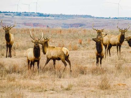 Property in Harper County, Oklahoma