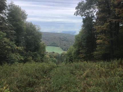 Property in Potter County, Pennsylvania