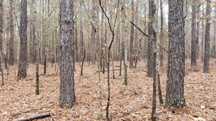 Property in Talbot County, Georgia