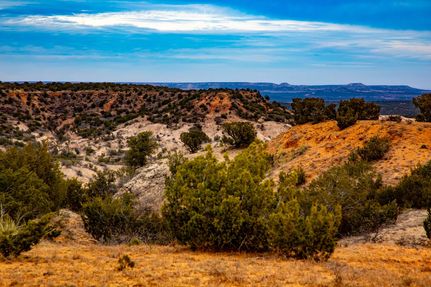 Property in Floyd County, Texas