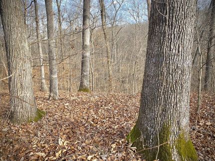 Property in Jasper County, Illinois