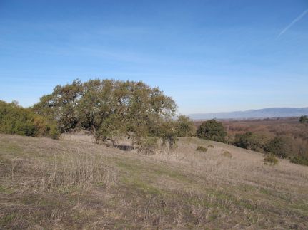 Property in Santa Clara County, California