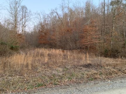 Undeveloped Land for sale in Casey County, Kentucky