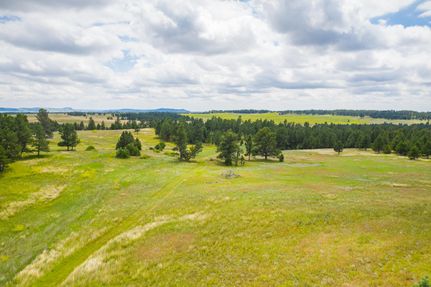 Property in Custer County, South Dakota