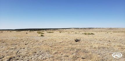 Property in Las Animas County, Colorado