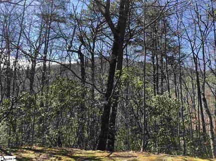 Property in Greenville County, South Carolina