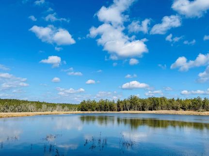 Property in Mobile County, Alabama