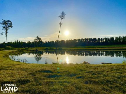 Property in Houston County, Alabama